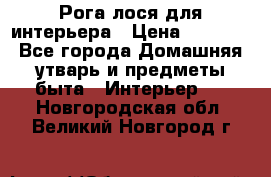 Рога лося для интерьера › Цена ­ 3 300 - Все города Домашняя утварь и предметы быта » Интерьер   . Новгородская обл.,Великий Новгород г.